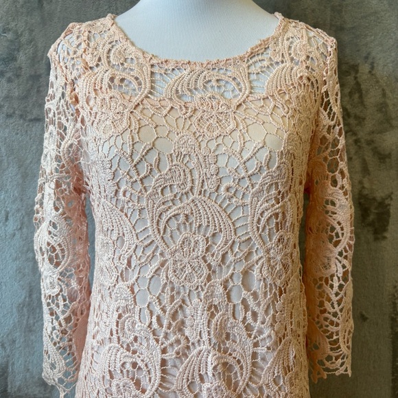 Romantic Rosette Coquette Lace Embroidered Elegant Pink Dress Sz 8 - Picture 2 of 12